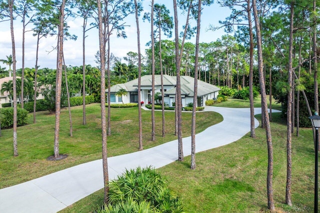 view of community featuring concrete driveway and a yard