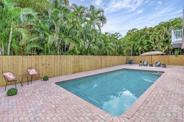 view of pool with a fenced in pool, a patio area, and a fenced backyard