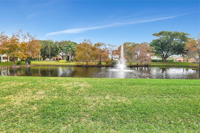 property view of water