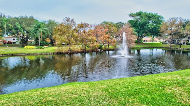 water view