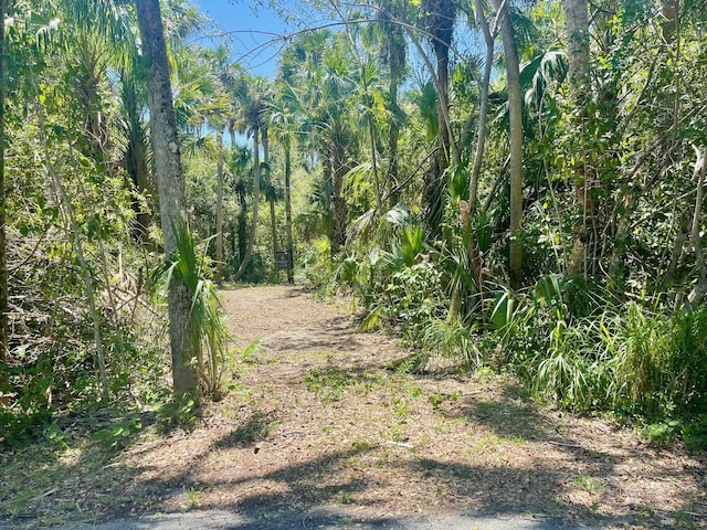 Listing photo 3 for 0 Old River Rd, Fort Pierce FL 34945