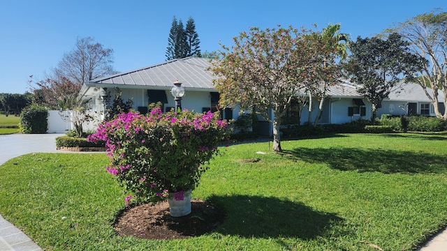 ranch-style house with metal roof, a front lawn, and stucco siding