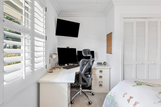 bedroom with carpet floors, a closet, and crown molding