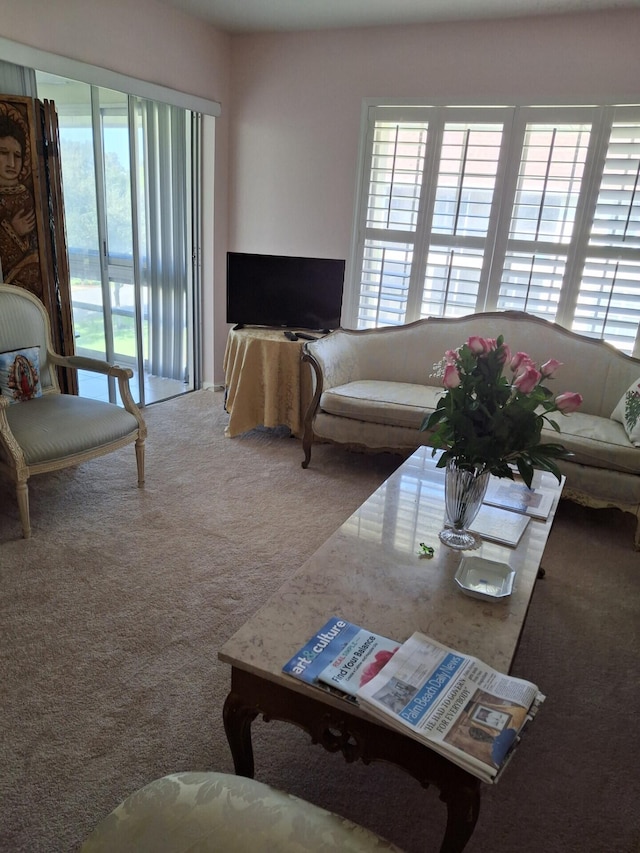 5580 Tamberlane Cir Unit 334, Palm Beach Gardens, FL 33418 - carpeted living area featuring plenty of natural light