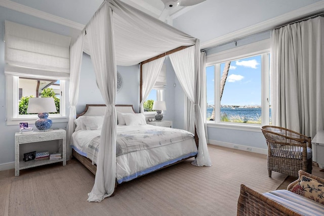 bedroom featuring a water view, multiple windows, and baseboards