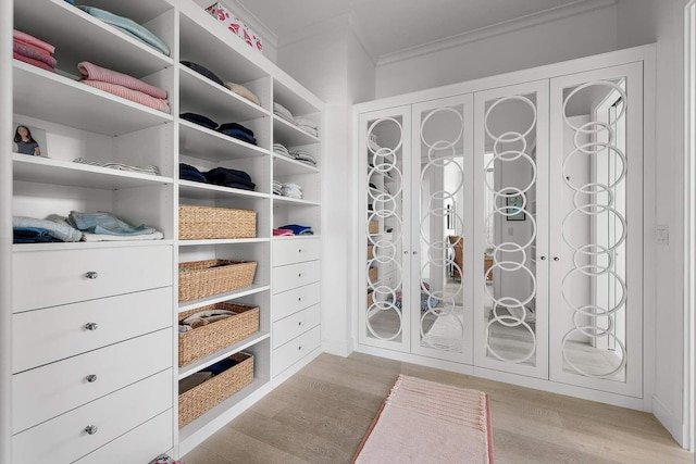 spacious closet featuring light wood-type flooring