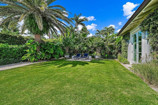 view of yard with a patio area