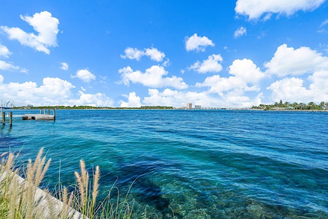 water view with a boat dock