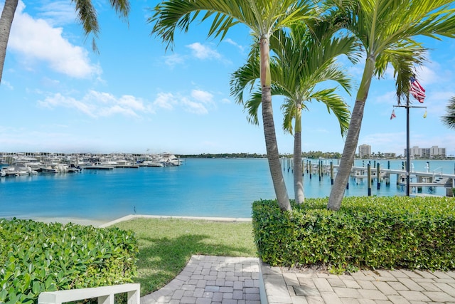 property view of water with a boat dock