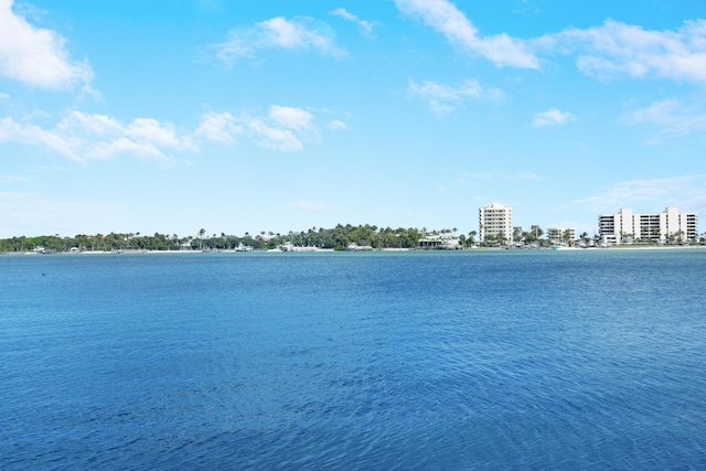 view of water feature featuring a view of city