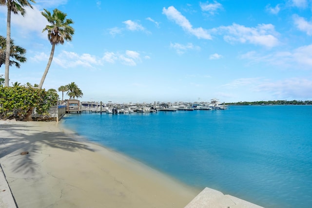 property view of water with a dock