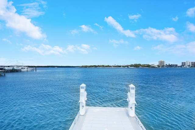 dock area featuring a water view