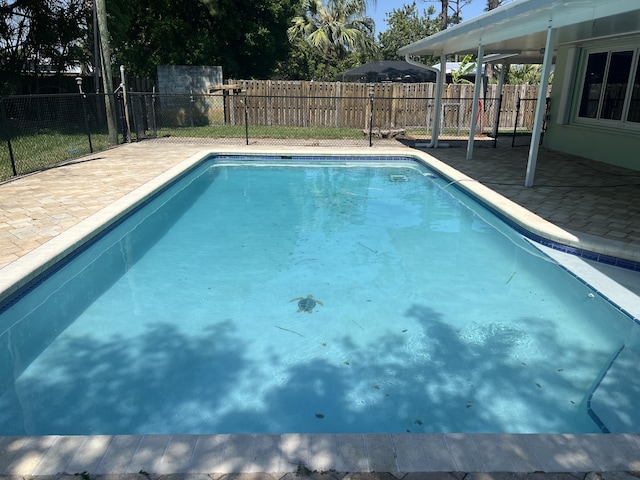 view of swimming pool featuring a fenced in pool, a fenced backyard, and a patio area