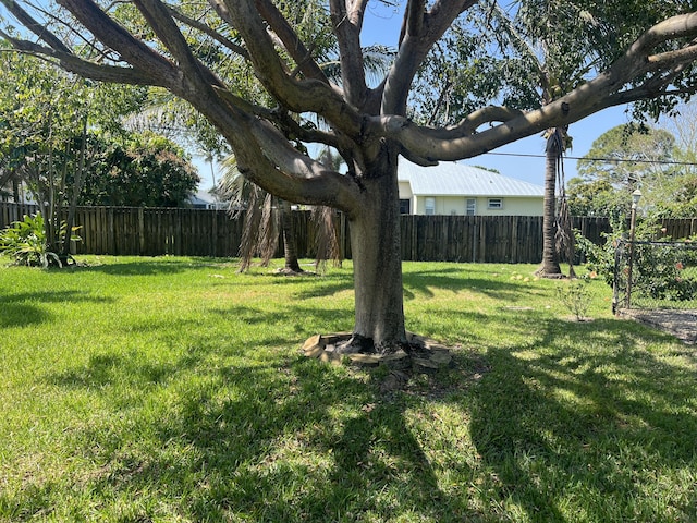 view of yard with a fenced backyard