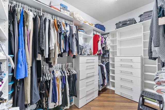 spacious closet featuring wood finished floors