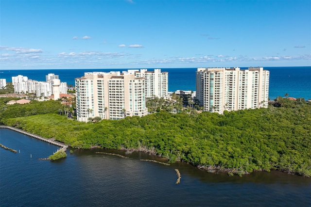 birds eye view of property with a water view