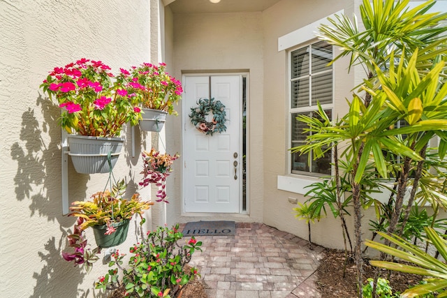 entrance to property with stucco siding