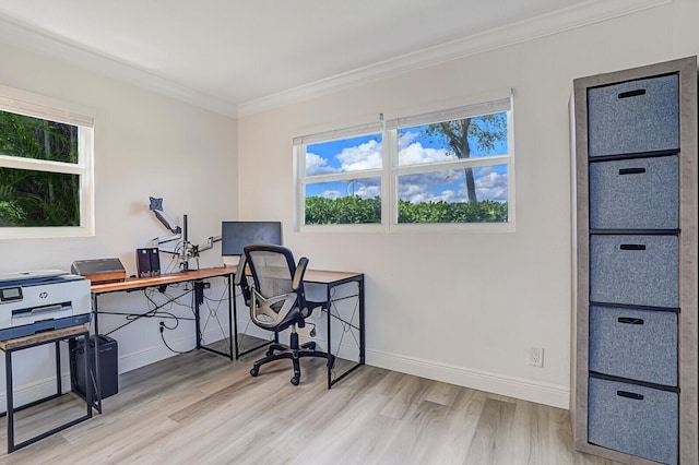 office featuring ornamental molding, baseboards, and wood finished floors