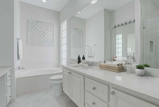 full bath featuring a healthy amount of sunlight, vanity, and a bath