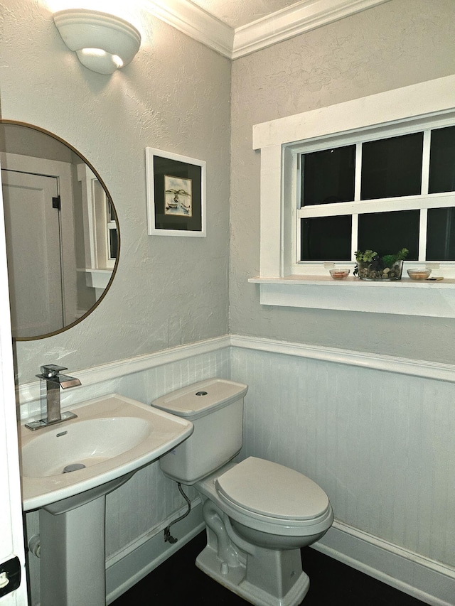 half bathroom featuring toilet, a wainscoted wall, crown molding, and a textured wall