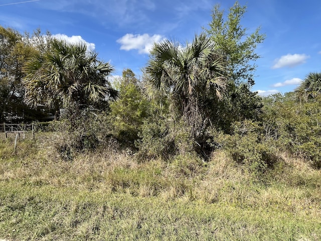 14667 NW 294th St, Okeechobee FL, 34972 land for sale