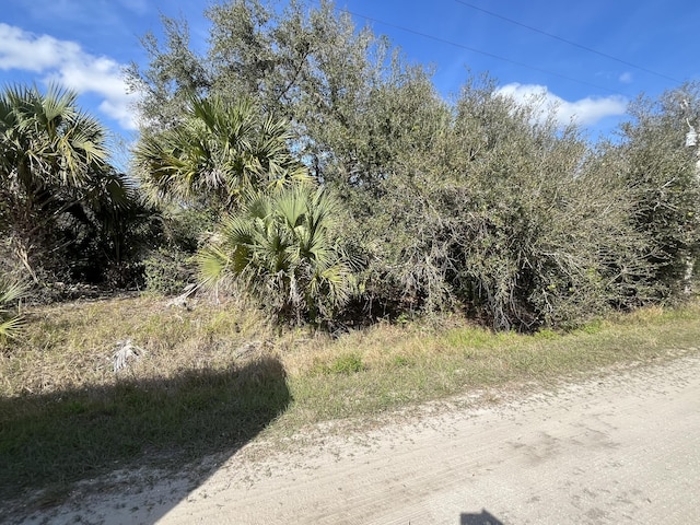 Listing photo 2 for 14667 NW 294th St, Okeechobee FL 34972