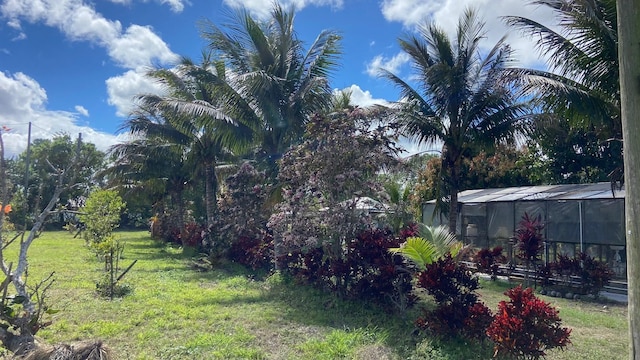 view of yard featuring an exterior structure and an outdoor structure