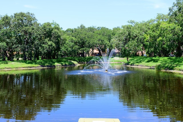 property view of water