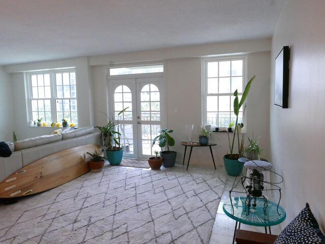 interior space featuring french doors and plenty of natural light