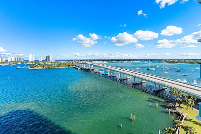 birds eye view of property with a water view and a pier