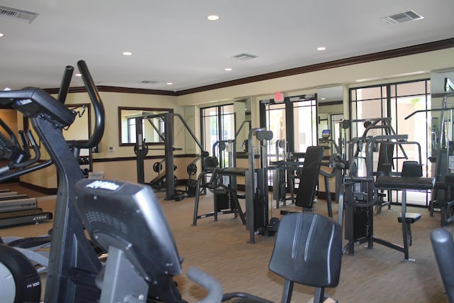 workout area featuring crown molding, visible vents, and carpet flooring