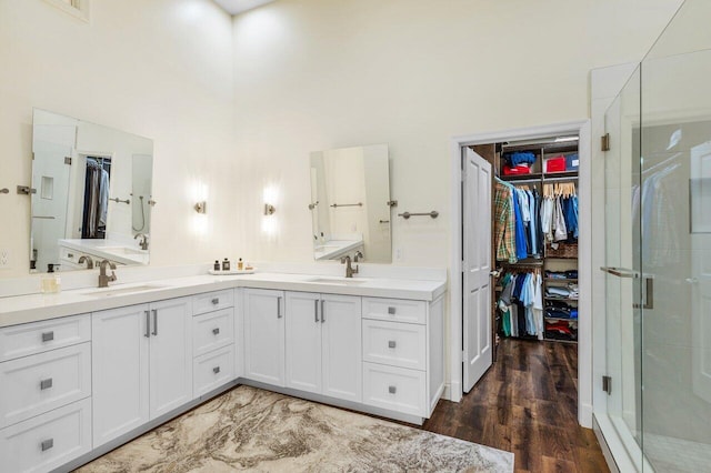 bathroom featuring double vanity, a stall shower, a sink, and a walk in closet