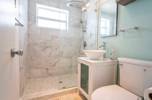 bathroom featuring toilet, vanity, and a walk in shower