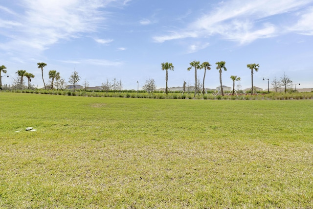 view of local wilderness featuring a rural view