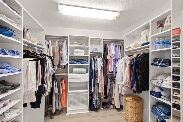 spacious closet featuring light wood finished floors