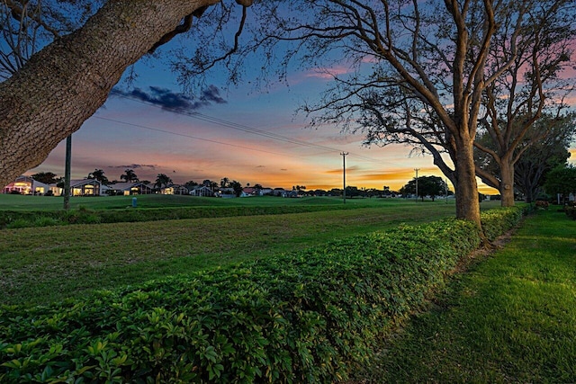 surrounding community featuring a yard