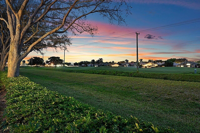 view of yard