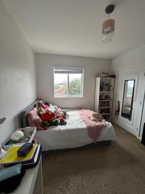 carpeted bedroom with multiple windows