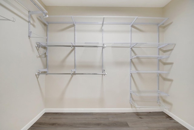 spacious closet featuring wood finished floors