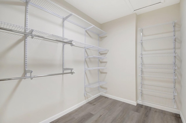 spacious closet with wood finished floors