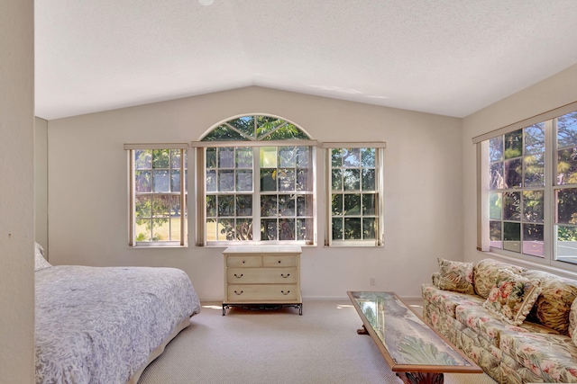 bedroom with carpet floors and lofted ceiling