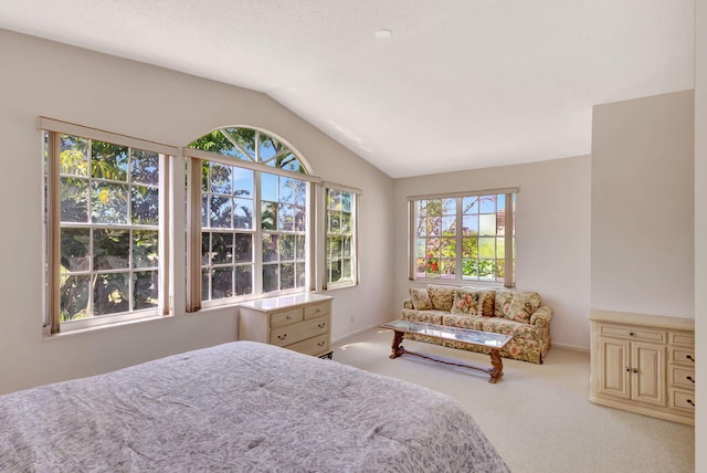 carpeted bedroom featuring lofted ceiling