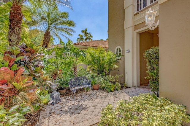 exterior space with a tiled roof, a patio area, and stucco siding