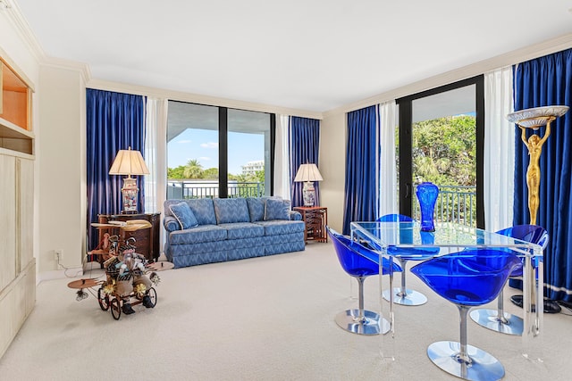 living room with carpet and floor to ceiling windows