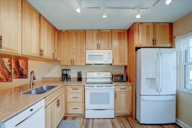 kitchen featuring plenty of natural light, white appliances, a sink, and a textured ceiling