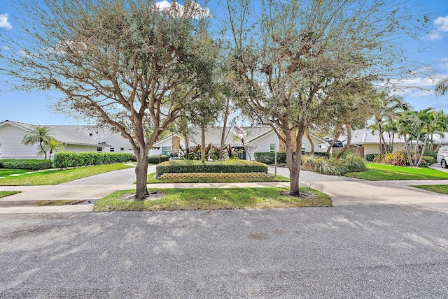 view of front facade with driveway, a front lawn, and a residential view