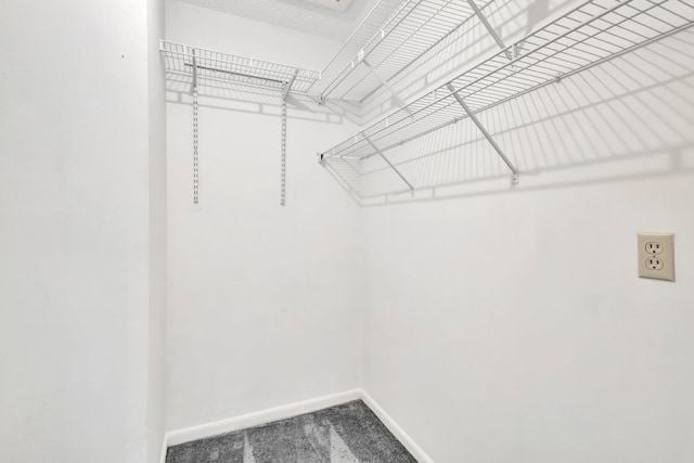 spacious closet with carpet flooring