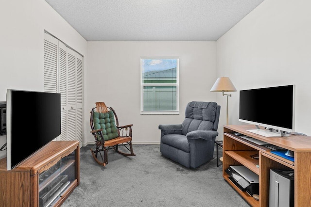 living area with carpet and a textured ceiling