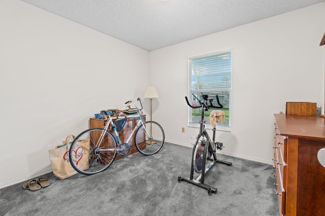 exercise room featuring baseboards, a textured ceiling, and carpet flooring