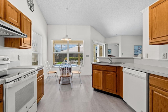 kitchen featuring under cabinet range hood, white appliances, a sink, and brown cabinets